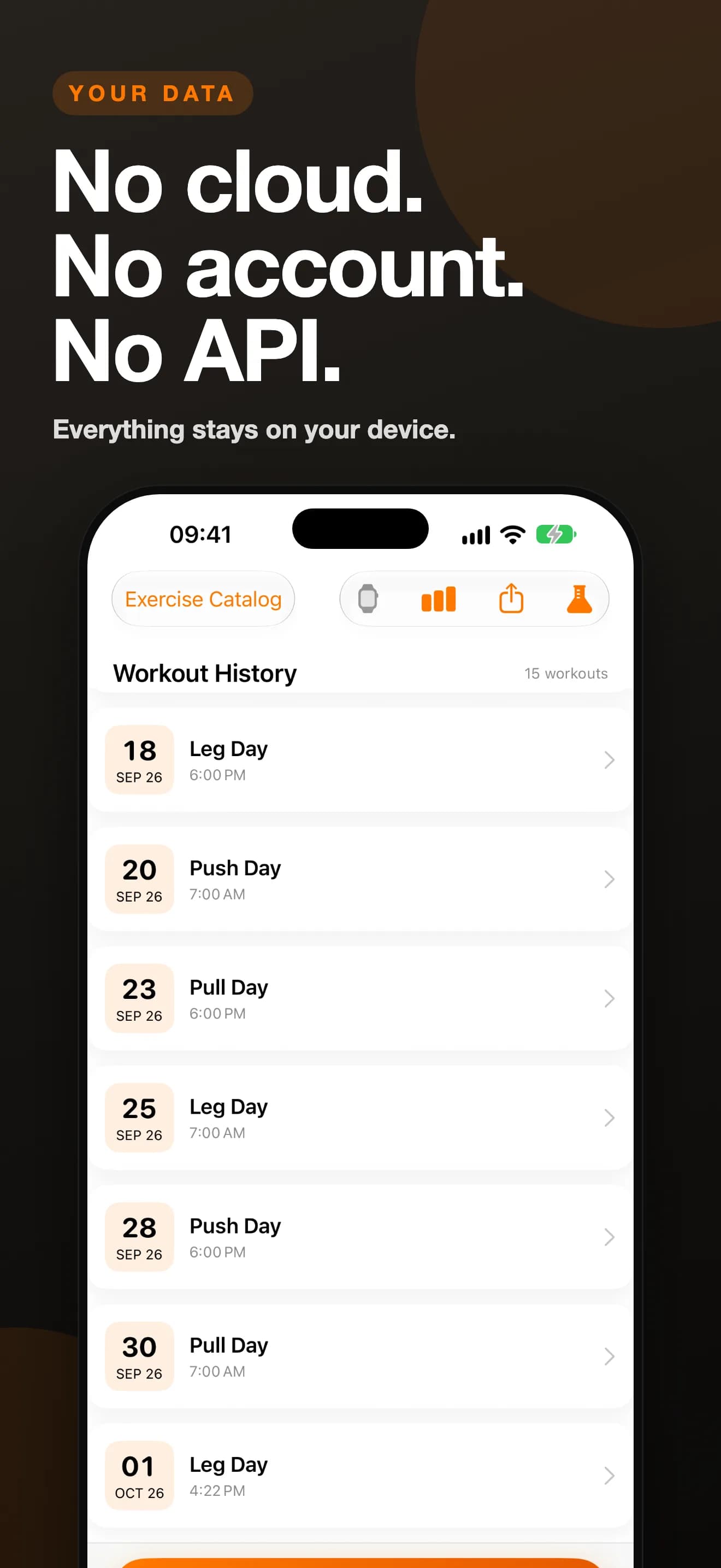 SetRepGo — No cloud. No account. No API. (Vorschau-Screenshot)